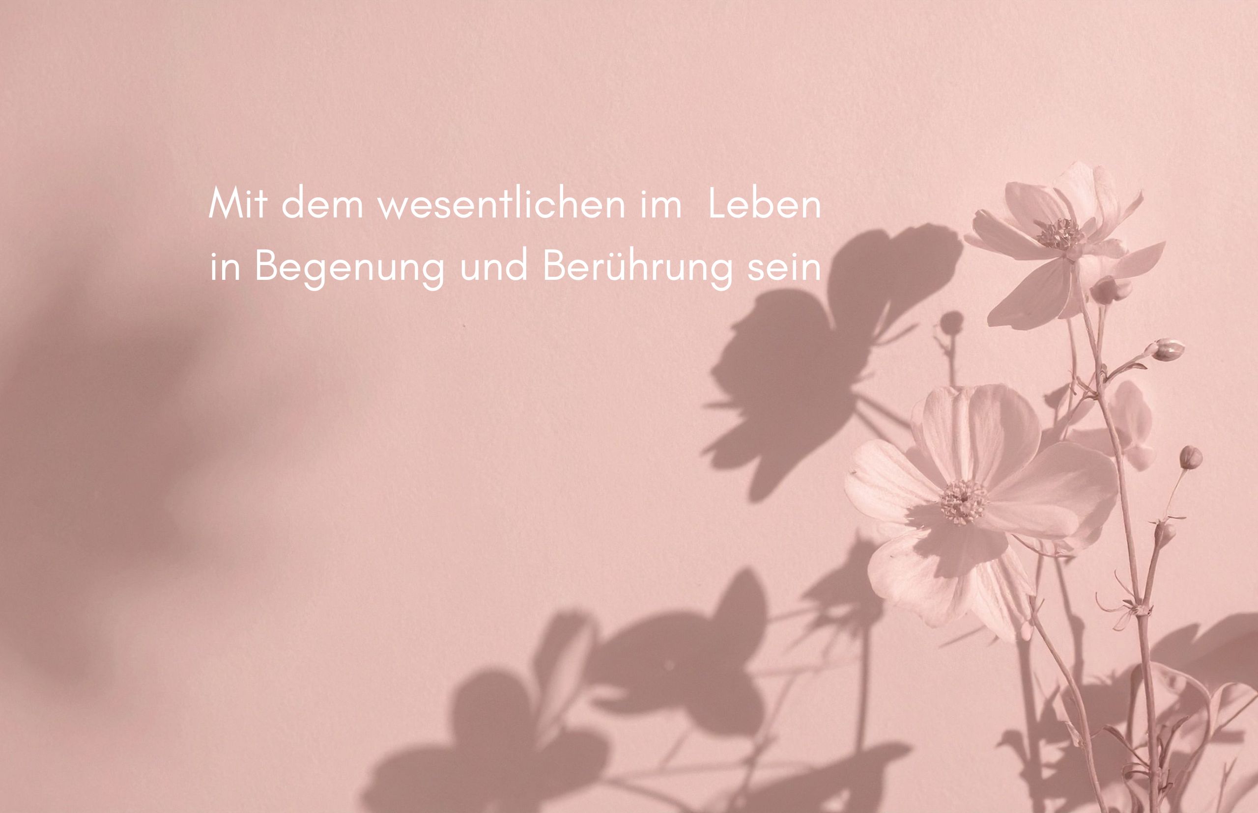 Das wesentliche im Leben Das wesentliche im Leben