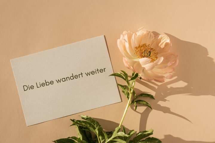 Klangschalen, Kristall schalen, sound healing, meditation, entspannung, Yoga nervensystem regulieren, selbstheilung musikalische Lesung musikalische begleitung Resilienz Training, Wofür brennst du, Wirbelsäulentherapie nach breuss, massage , Antar Mourna, magische Vagusnerv, regulierte Nervensystem