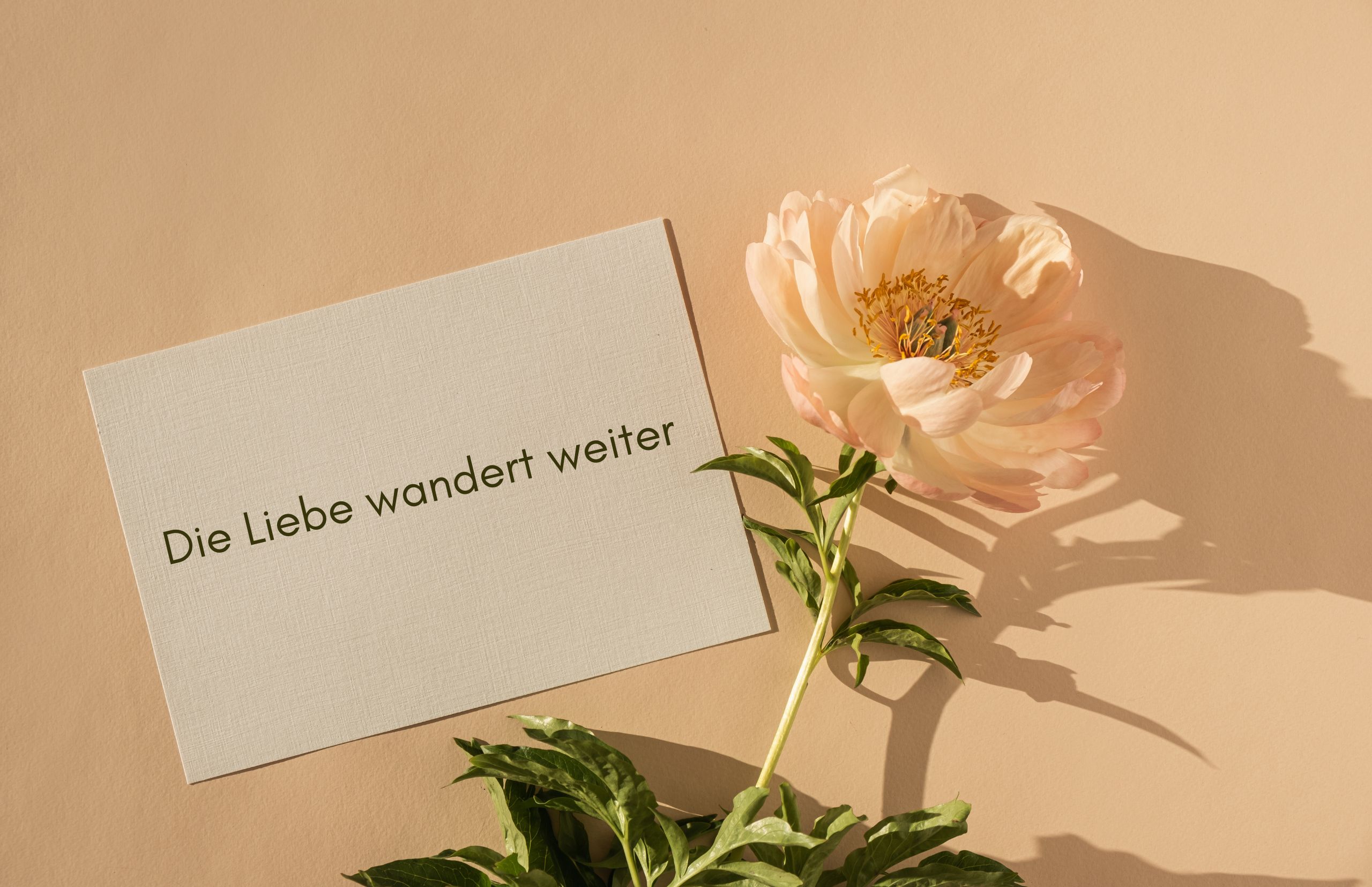 Die Liebe wandert weiter Die Liebe wandert weiter