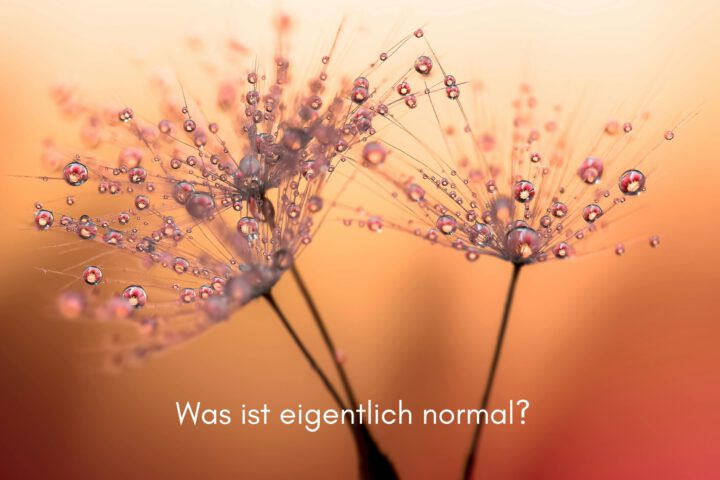 Klangschalen, Kristall schalen, sound healing, meditation, entspannung, Yoga nervensystem regulieren, selbstheilung musikalische Lesung musikalische begleitung Resilienz Training, Wofür brennst du, Wirbelsäulentherapie nach breuss, massage , Antar Mourna, magische Vagusnerv, regulierte Nervensystem