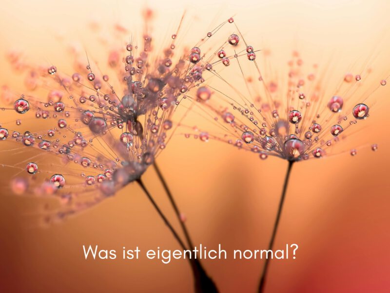 Was ist eigentlich normal?