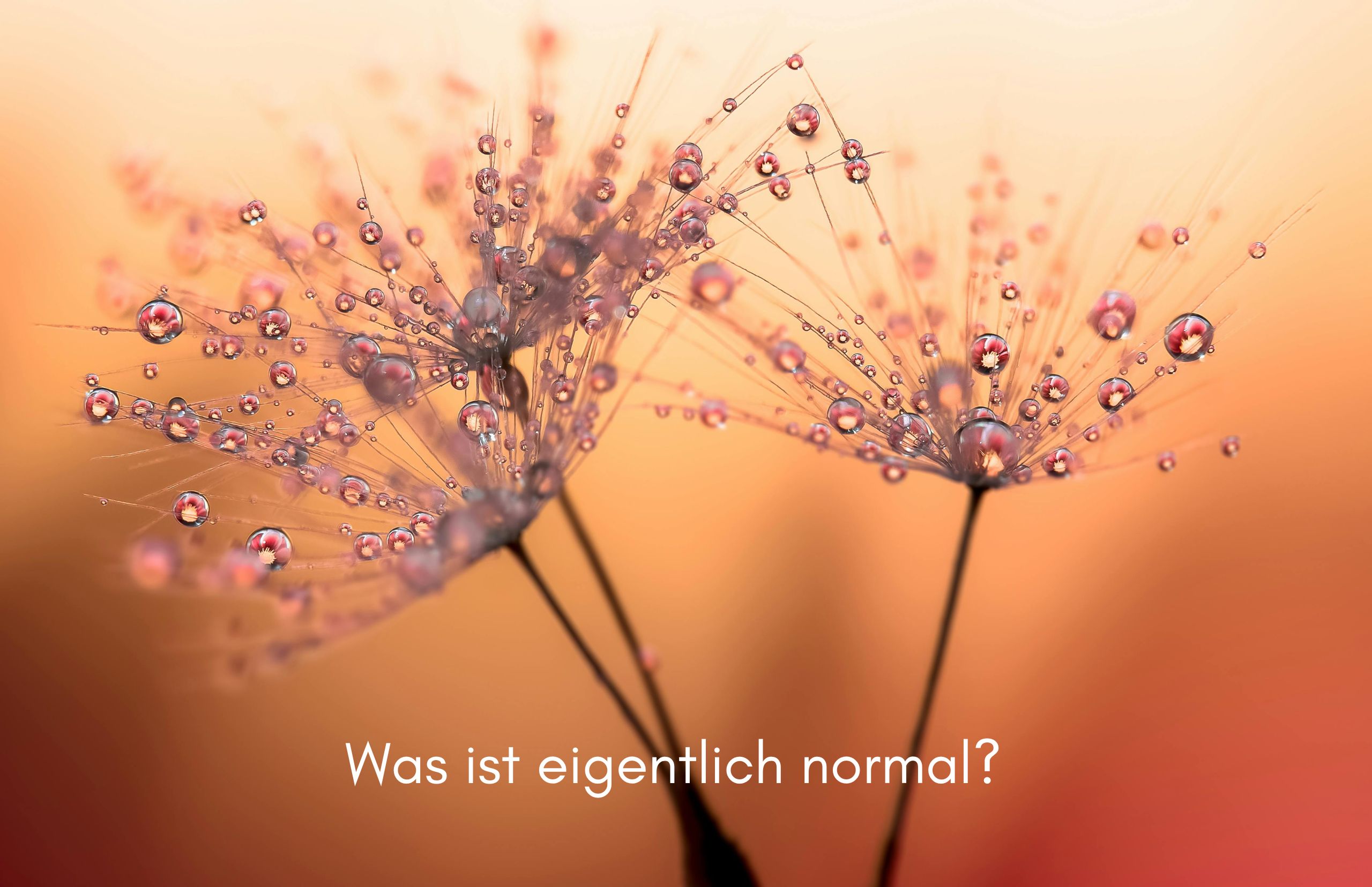 Was ist eigentlich normal? Was ist eigentlich normal?