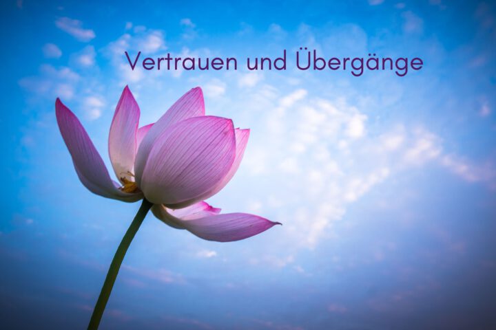 Klangschalen, Kristall schalen, sound healing, meditation, entspannung, Yoga nervensystem regulieren, selbstheilung musikalische Lesung musikalische begleitung Resilienz Training, Wofür brennst du, Wirbelsäulentherapie nach breuss, massage , Antar Mourna, magische Vagusnerv, regulierte Nervensystem