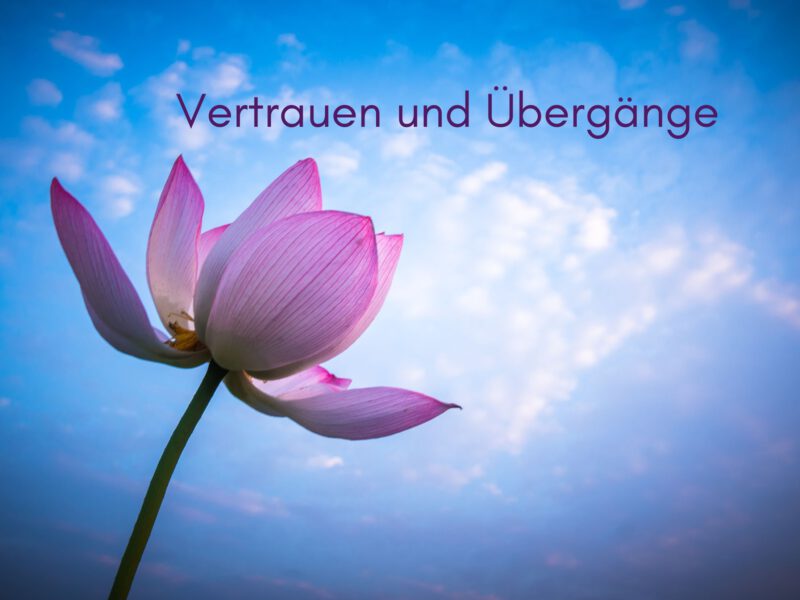 Wenn das Leben uns in die Ungewissheit führt