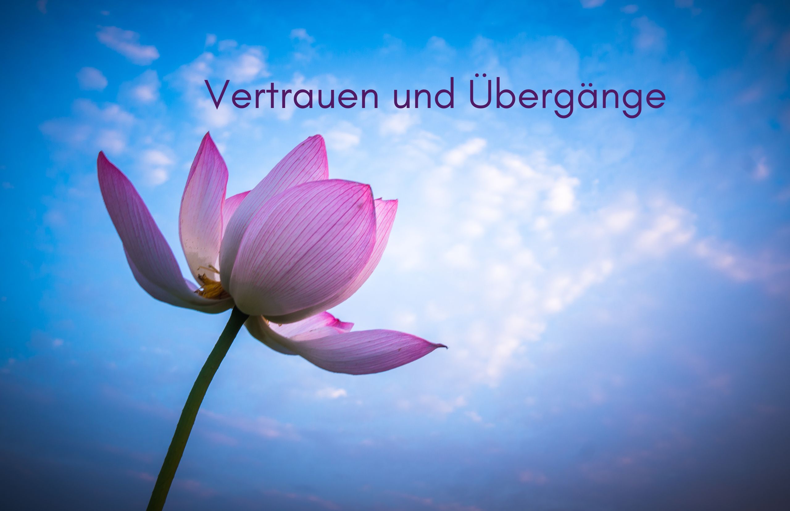 Wenn das Leben uns in die Ungewissheit führt Wenn das Leben uns in die Ungewissheit führt