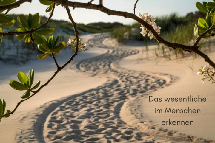 Klangschalen, Kristall schalen, sound healing, meditation, entspannung, Yoga nervensystem regulieren, selbstheilung musikalische Lesung musikalische begleitung Resilienz Training, Wofür brennst du, Wirbelsäulentherapie nach breuss, massage , Antar Mourna, magische Vagusnerv, regulierte Nervensystem