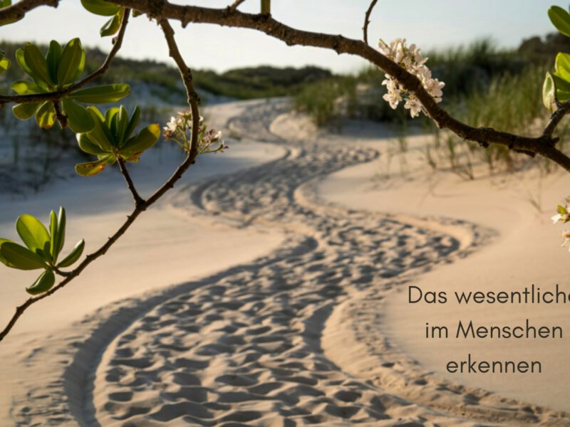 Das wesentliche im Menschen erkennen