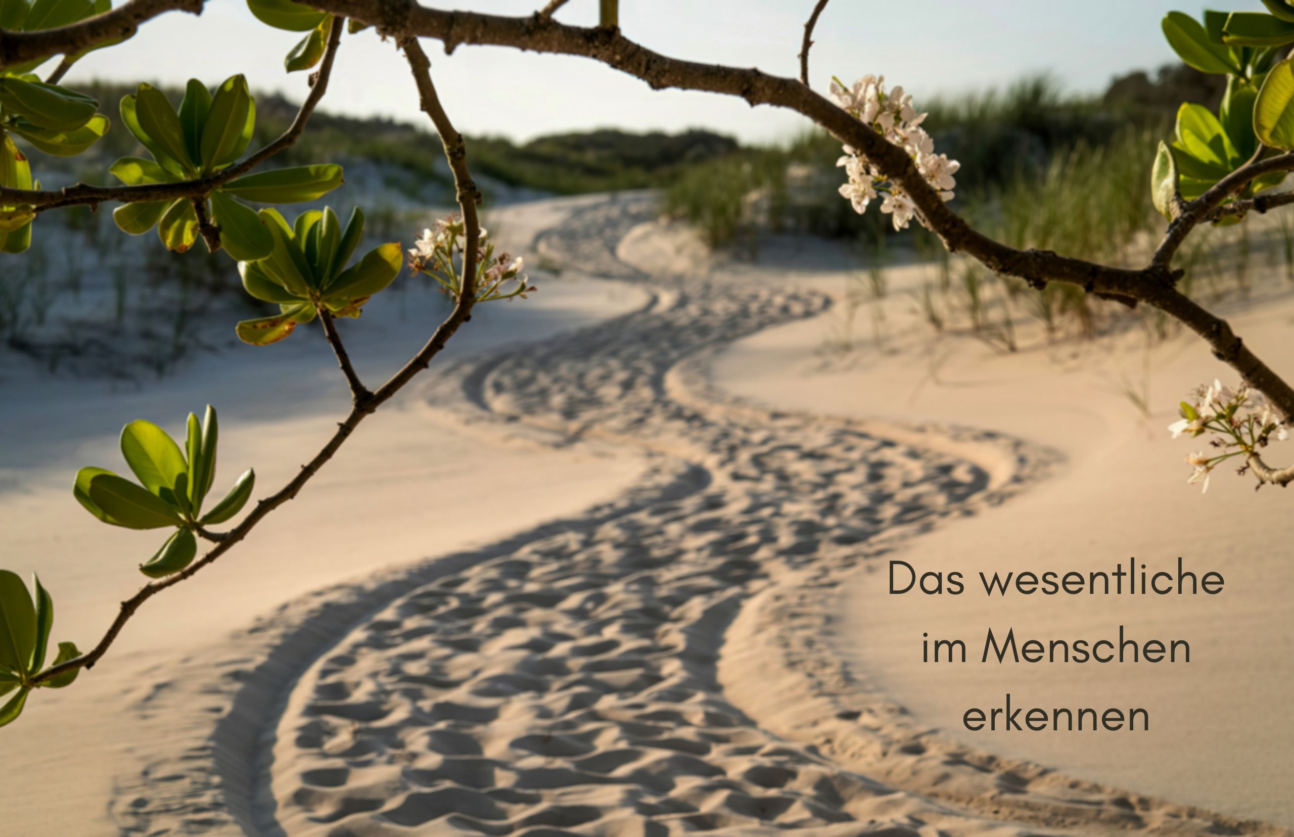 Das wesentliche im Menschen erkennen Das wesentliche im Menschen erkennen