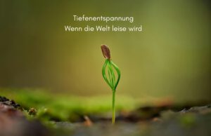 Klangschalen, Kristall schalen, sound healing, meditation, entspannung, Yoga nervensystem regulieren, selbstheilung musikalische Lesung musikalische begleitung Resilienz Training, Wofür brennst du, Wirbelsäulentherapie nach breuss, massage , Antar Mourna, magische Vagusnerv, regulierte Nervensystem