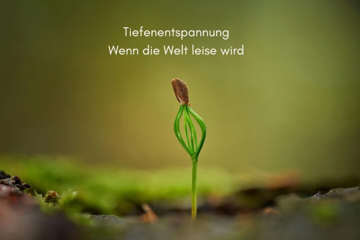 Klangschalen, Kristall schalen, sound healing, meditation, entspannung, Yoga nervensystem regulieren, selbstheilung musikalische Lesung musikalische begleitung Resilienz Training, Wofür brennst du, Wirbelsäulentherapie nach breuss, massage , Antar Mourna, magische Vagusnerv, regulierte Nervensystem