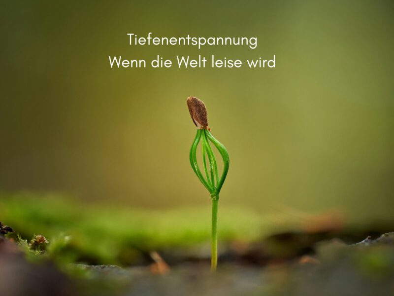 Tiefenentspannung – wenn die Welt leise wird