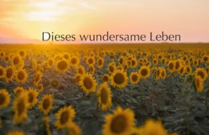 Klangschalen, Kristall schalen, sound healing, meditation, entspannung, Yoga nervensystem regulieren, selbstheilung musikalische Lesung musikalische begleitung Resilienz Training, Wofür brennst du, Wirbelsäulentherapie nach breuss, massage , Antar Mourna, magische Vagusnerv, regulierte Nervensystem