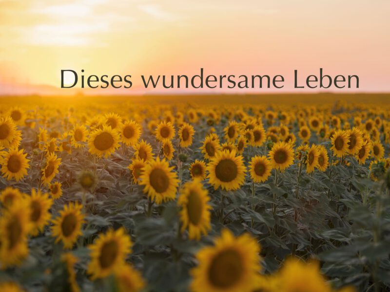 Dieses wundersame Leben
