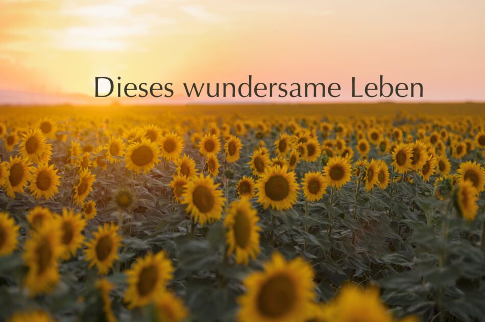 Klangschalen, Kristall schalen, sound healing, meditation, entspannung, Yoga nervensystem regulieren, selbstheilung musikalische Lesung musikalische begleitung Resilienz Training, Wofür brennst du, Wirbelsäulentherapie nach breuss, massage , Antar Mourna, magische Vagusnerv, regulierte Nervensystem