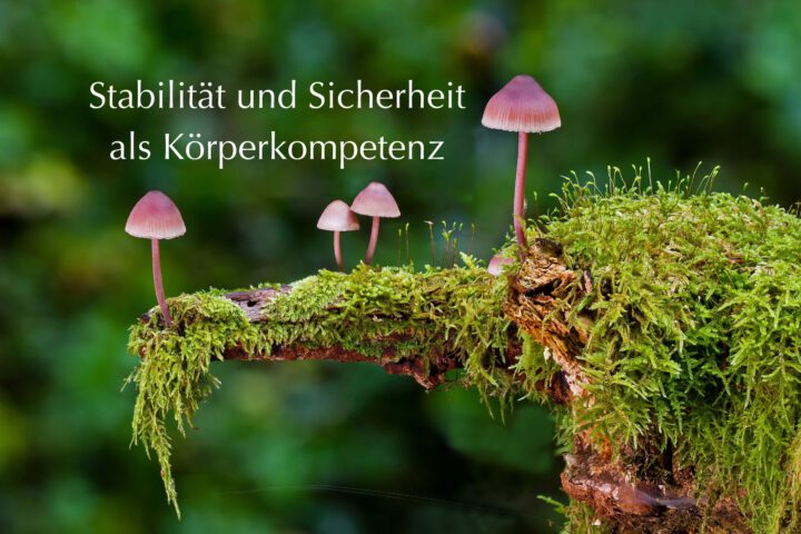 Klangschalen, Kristall schalen, sound healing, meditation, entspannung, Yoga nervensystem regulieren, selbstheilung musikalische Lesung musikalische begleitung Resilienz Training, Wofür brennst du, Wirbelsäulentherapie nach breuss, massage , Antar Mourna, magische Vagusnerv, regulierte Nervensystem