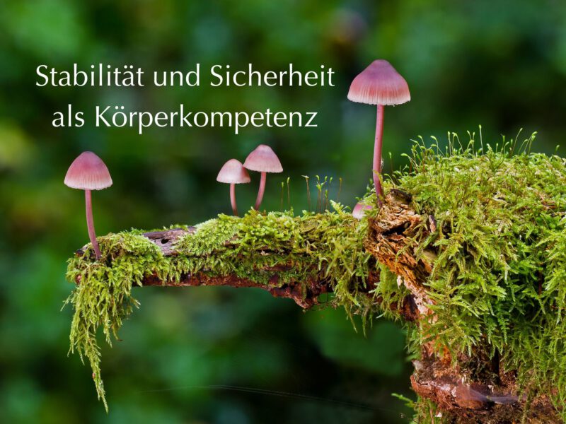 Körperkompetenz entwickeln – Stabilität und Sicherheit beginnt im Körper