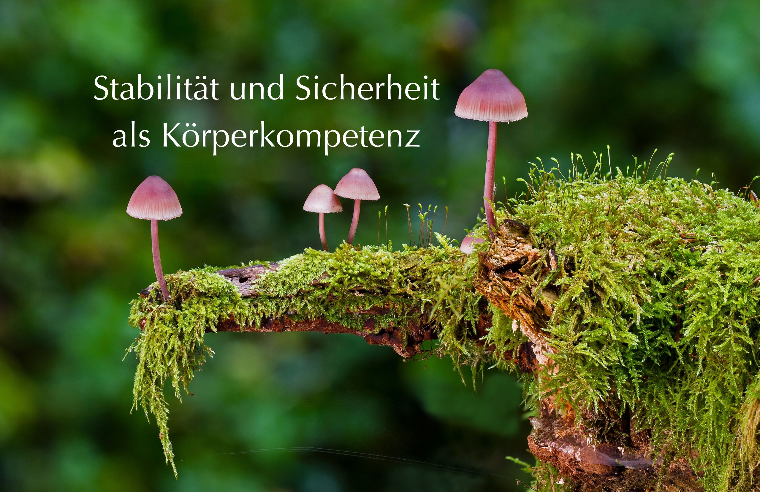 Körperkompetenz entwickeln – Stabilität und Sicherheit beginnt im Körper