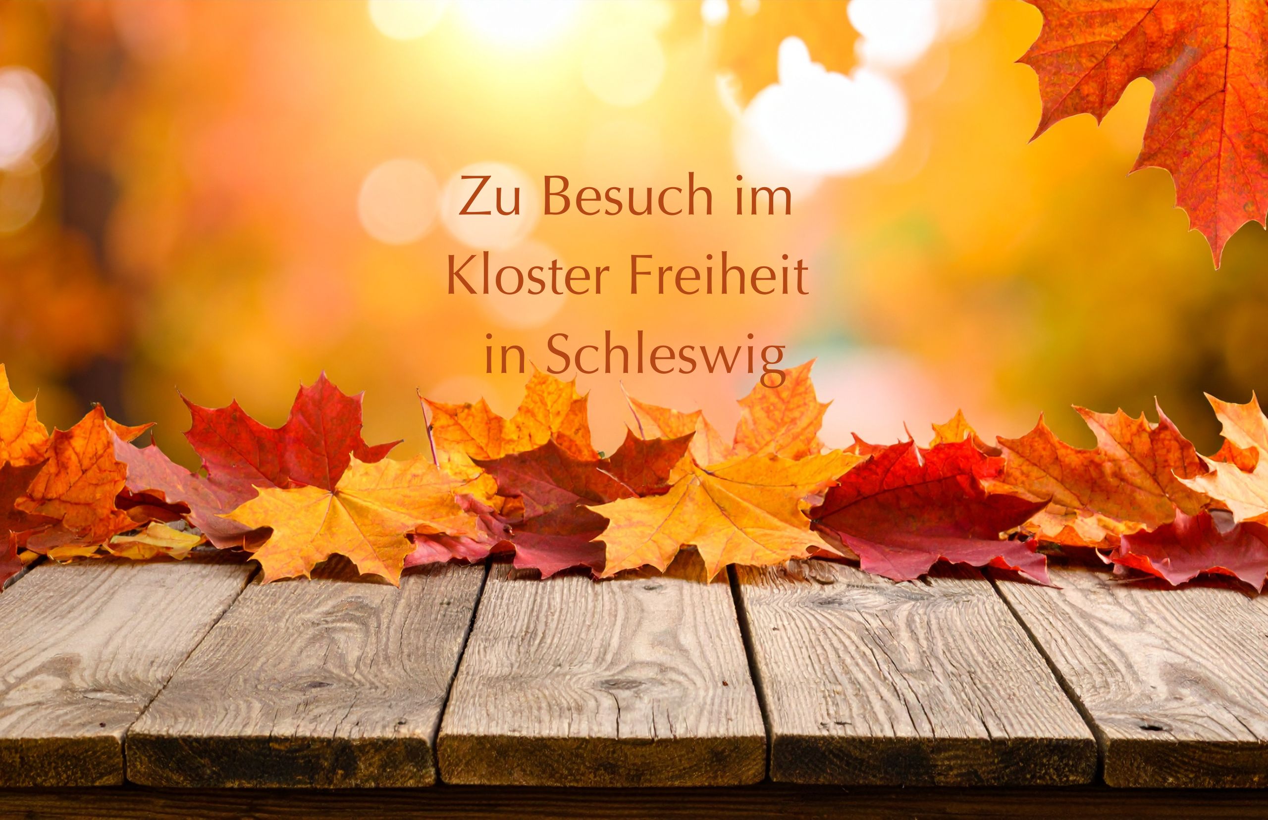 Zu Besuch im Kloster Freiheit in Schleswig