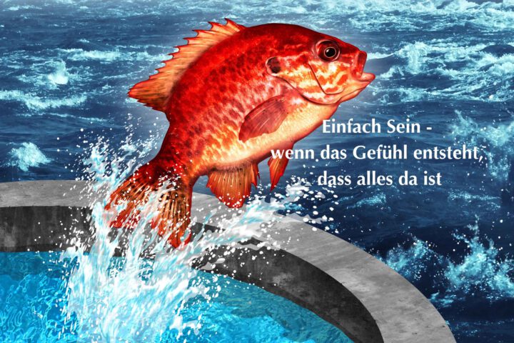 Klangschalen, Kristall schalen, sound healing, meditation, entspannung, Yoga nervensystem regulieren, selbstheilung musikalische Lesung musikalische begleitung Resilienz Training, Wofür brennst du, Wirbelsäulentherapie nach breuss, massage , Antar Mourna, magische Vagusnerv, regulierte Nervensystem