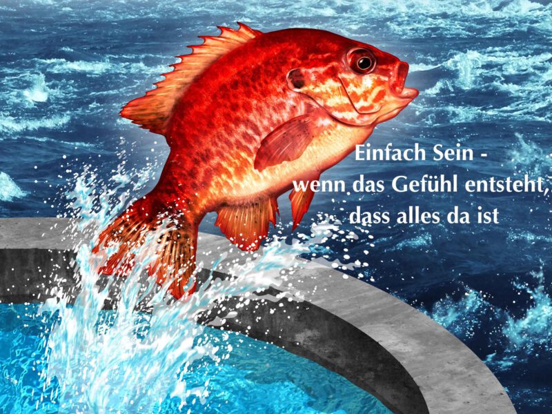 Einfach SEIN – wenn das Gefühl entsteht, dass alles da ist