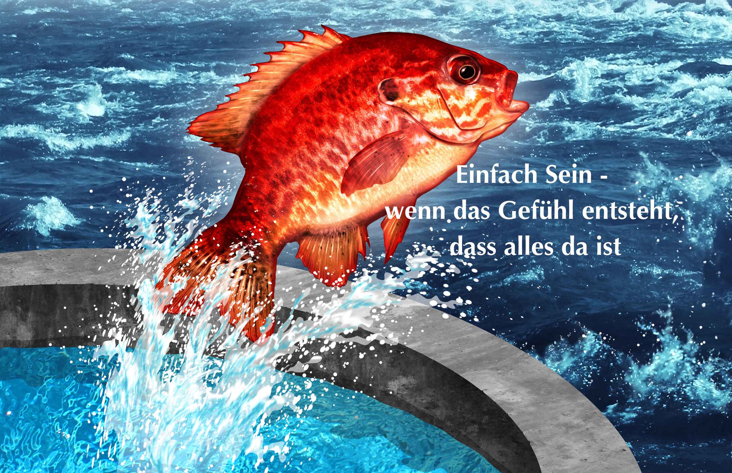 Einfach SEIN – wenn das Gefühl entsteht, dass alles da ist